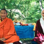 pujas de taras
