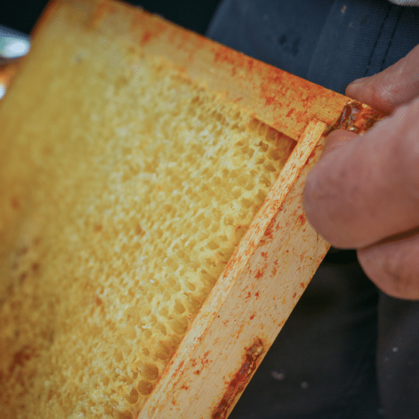 Plaque abeilles